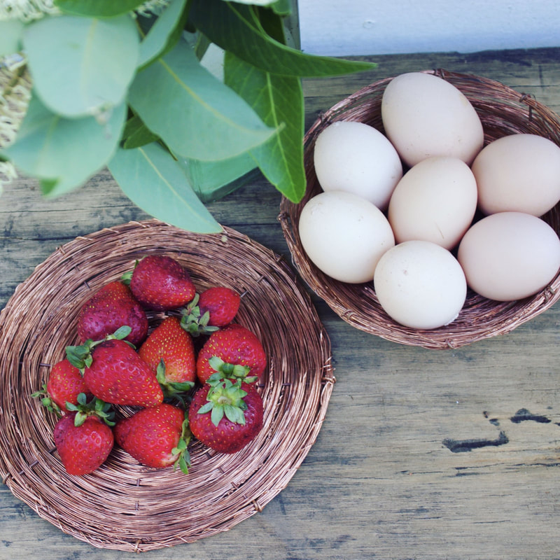 Eco-friendly tableware that can be used for fruit picking and collecting fresh organic eggs