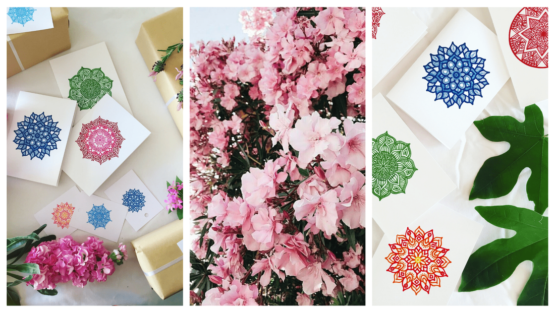 Beautiful and eco-friendly gift cards surrounded by flowers and pieces of nature