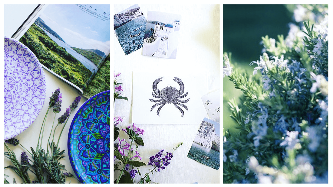 Beautiful ocean inspired gift cards with sea creatures on the front cover