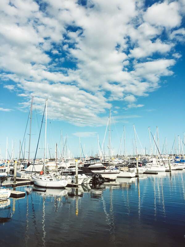Manly boat harbour on a sunny day